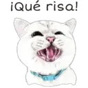 ¡Qué risa!