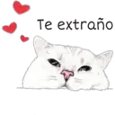 Te extraño