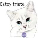 Estoy triste
COFFEE