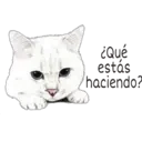 ¿Qué
estás
haciendo?