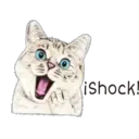 T
iShock!