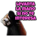 Animalitos fraseados 16