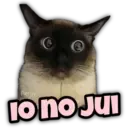 Animalitos fraseados 2