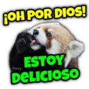Animalitos fraseados 5