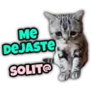 Animalitos fraseados 28