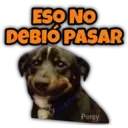 Animalitos fraseados 7