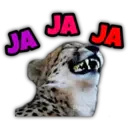 Animalitos fraseados 13