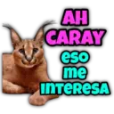 Animalitos fraseados 21