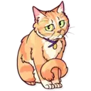 Funny cats 22
