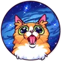Funny cats 24