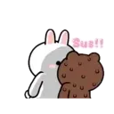 HyperRabbit x BROWN & FRIENDS: Valentine 16