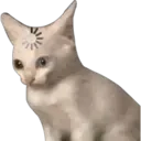 Segundo 12
