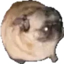 Segundo 11