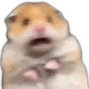 Segundo 16