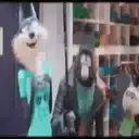 SING 2 MOVIE 2022 28