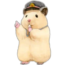 Hamsters Cute 20