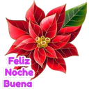 Navidad 8