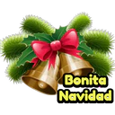 Navidad 14