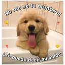 Perritos☆♡ 4 28