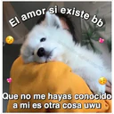 Perritos☆♡ 4 13