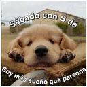 Perritos☆♡ 4 8