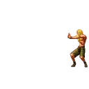 Metal slug 5