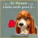 Buenas   1 movi 22