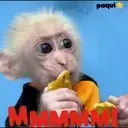 Monitos     MOVIL. 9