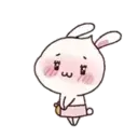 Rabbit   and 15