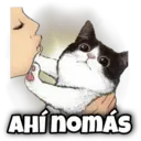 AHÍ NOMÁS