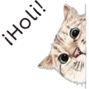 ¡Holi!