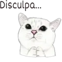 Disculpa...
