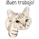 ¡Buen trabajo!