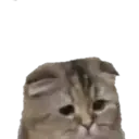 Segundo 24