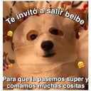 Perritos☆♡ 4 4