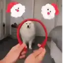 A͓̽n͓̽i͓̽m͓̽a͓̽l͓̽s͓̽ ͓̽i͓̽n͓̽ ͓̽C͓̽h͓̽r͓̽i͓̽s͓̽t͓̽m͓̽a͓̽s͓̽  Mov 20