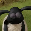 S︎H︎A︎U︎N︎ T︎H︎E︎ S︎H︎E︎E︎P︎ 10