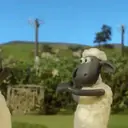 S︎H︎A︎U︎N︎ T︎H︎E︎ S︎H︎E︎E︎P︎ 8