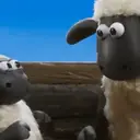 S︎H︎A︎U︎N︎ T︎H︎E︎ S︎H︎E︎E︎P︎ 3