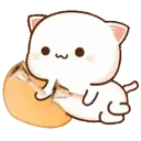 MOCHIS CAT Extra"K" MOV 5