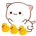 MOCHIS CAT Extra"K" MOV 2