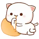 MOCHIS CAT Extra"K" MOV 21