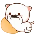 MOCHIS CAT Extra"K" MOV 12