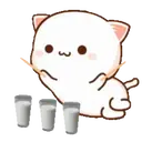 MOCHIS CAT Extra"K" MOV 17