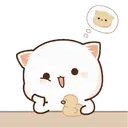 MOCHIS CAT Extra"K" MOV 24