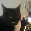 Mix Cats me gustaron 15