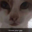 I know your gay