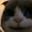 Mix Cats me gustaron 20