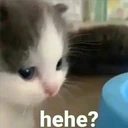 hehe?