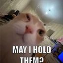 MAY I HOLD
THEM?